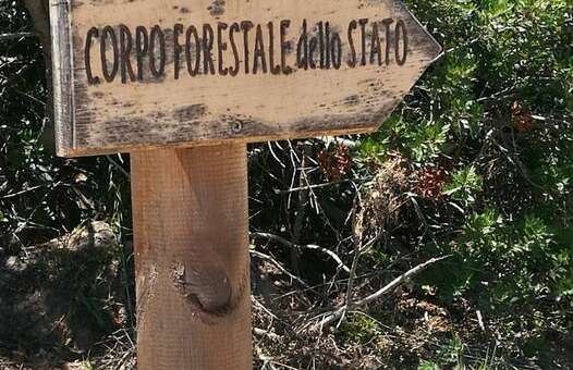 In GU l’ordinanza di rimessione alla Corte Costituzionale del TAR Veneto sulla Riforma Madia del CFS