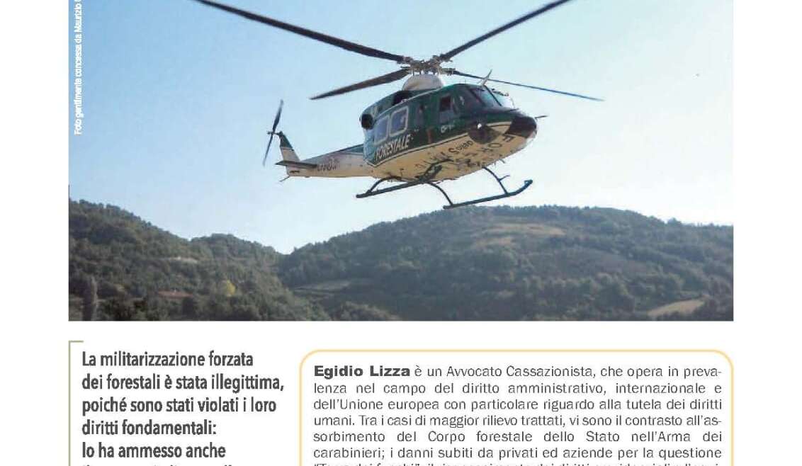 Forestali, diritti violati: ora il governo deve risponderne