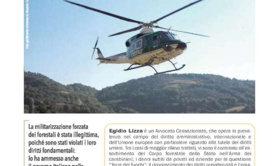 Forestali, diritti violati: ora il governo deve risponderne